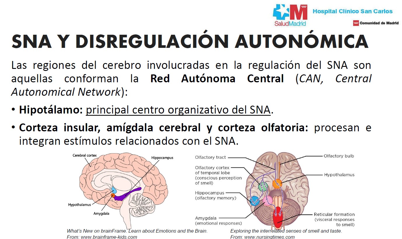 Ictus y parada cardiorrespiratoria